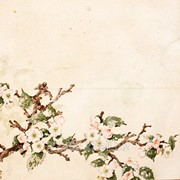 Салфетка для декупажа Мона Свард. Цветы вишни. фотография