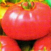 Семена томата высокорослого Банзай (25 штук) фото