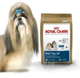 Корм для ши тцу. Роял канин для собак ши тцу. Корм для йоркширского терьера хиллс. Роял канин для ши тцу. Корм для щенков ши тцу.