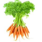 Морковь, разные фракции фотография
