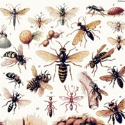 Отпугиватели насекомых - трихограмма фото