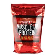 Muscle Up Protein ActivLab 700 грамм фото