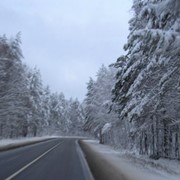 Перевозки автобусные туристические