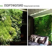 Зеленые стены, Фитостены, Живые стены,Вертикальный сад фотография