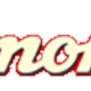 Перевозки автотранспортом между Западной, Центральной, Восточной Европой, Азией, Прибалтикой и СНГ, организация перевозок сборных грузов по любым направлениям, комплекс услуг по организации мультимодальных перевозок, складские услуги и страхование фото