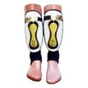 Щитки South Africa фото