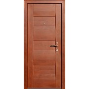 Двери деревянные Технократ Novak