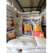تصدير الطحين من كازاخستان - Export and wholesale flour from Kazakhstan фото