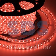 LED лента Neon-Night, герметичная в силиконовой оболочке, 220V, 10*7 мм, IP65, SMD 3528, 60 диодов/метр, цвет светодиодов красный, бухта 100 метров фотография