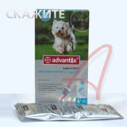 Препарат для собак Адватнтикс 4-10 кг, кап.1,0 МЛ №4 фото