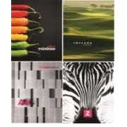 Тетрадь А4, 80л., в твердом переплет, клетка фото