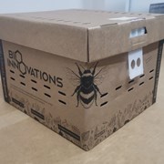 Шмели для опыления теплиц и садов фото