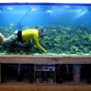 Ремонт аквариумов фото