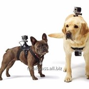 Крепление GoPro на Собаку фото