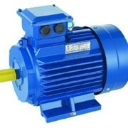 Электордвигатель 0,25 кВт*750об/мин,АИР71В8 IM1081 380В фото