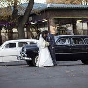 Тамада на свадьбу фото