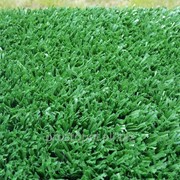 Искусственная трава Образец 4 фото