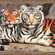 Репродукция 60х100 в723 фото