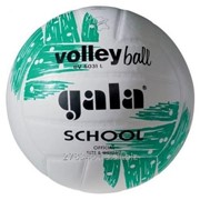 Мяч волейбольный Gala School BV 5031LBE