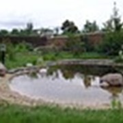 Строительство водоёмов фото