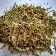 Лабазник вязолистный (Таволга вязолистная, Filipendula ulmaria) трава 100 грамм фото
