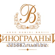 Дизайн логотипов фотография