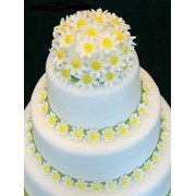 Торт свадебный, №0193