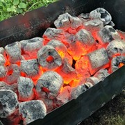 Уголь древесный брикетированный "Премиум" класс