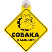 Знак-табличка на присоске “Злая собака в машине“ фото