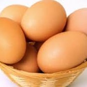 Инкубационные яйца оптом по выгодной цене фото