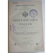 Сельское и лесное хозяйство России. фото