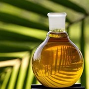 Пальмовое масло фотография