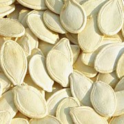 Продам семена тыквы Североволжской / Pumpkin seeds in-shell Volga Grey 10+, 12+ фото