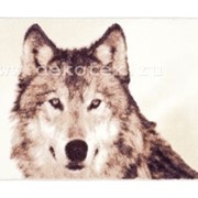 Коврик Wolf из 1-шт 57x100см (коричневый) 1/30 фотография