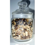 Чага ( березовый гриб) фото