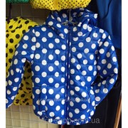 Детская куртка ветровка на девочку Горох 92-116 электрик, код товара 223641081 фотография