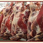 Мясо говядины полутуши от производителя фото