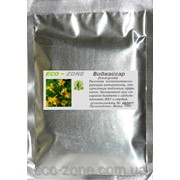 Порошок Виджайсар 100г (Food-grade)