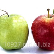 Яблоки фотография