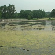 Очистка водоемов. Украина фото