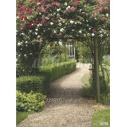 Фотообои Арка из роз в Английском саду 3296 фото