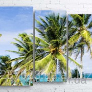 Модульна картина на полотні Пальми на пляжі код КМ100130-025 фото