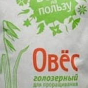 Овес голозерный для проращивания фасованный 0.5 кг Россия