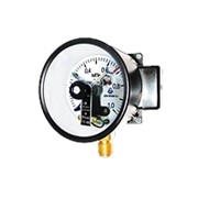 Манометр ДМ СГ 05100-01М 0...0,6мПа(100мм) фото