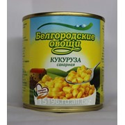 Белгородские овощи - кукуруза сахарная фотография