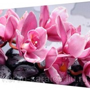 Картина на холсте 30х40 Р882 фото