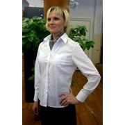 Блузка женская фото