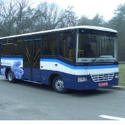 Автобусы городские А081.10 городской, цена, производство ЧАЗ, Украина