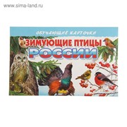 Обучающие карточки «Зимующие птицы России», 16 карточек фото