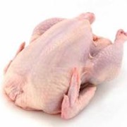 Мясо куриное охлажденное, тушки, бедро, голень, крыло, купить, фото, заказать, оптовая торговля, возможен торг, доставка, низкая, доступная цена